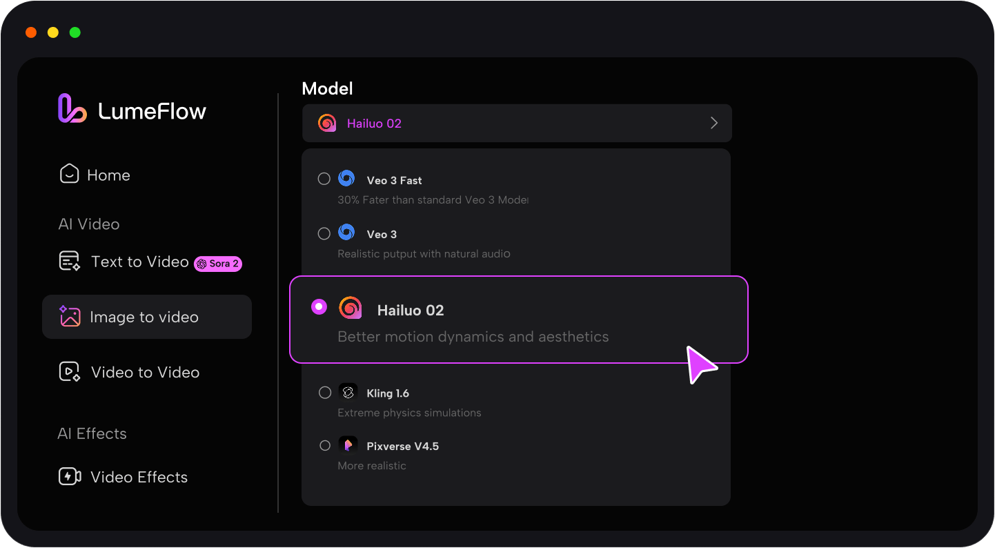 Choose Hailuo-02 Model