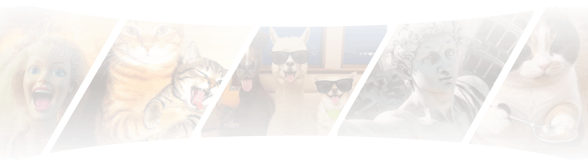 seedance2.0 モデル