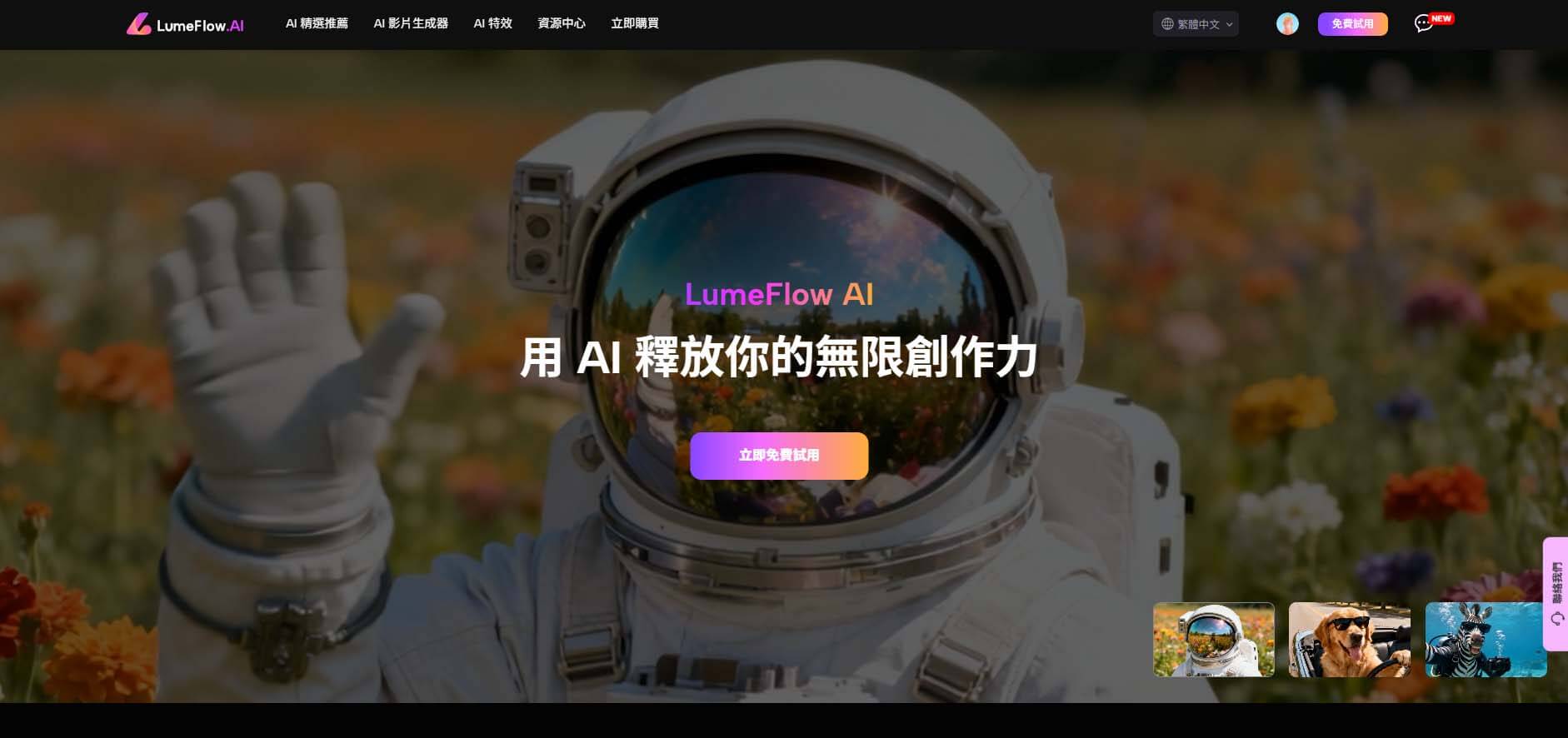 Seedance 替代工具 LumeFlow